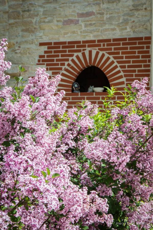 Labergement-Foigney Aux Mesanges Bed & Breakfast エクステリア 写真